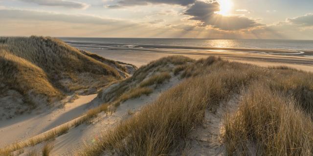 Dunes au camping baie de somme bord de mer