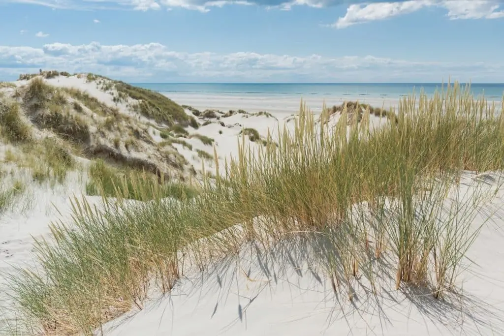 Dunes en baie de somme au camping baie de somme bord de mer Le Champ Neuf